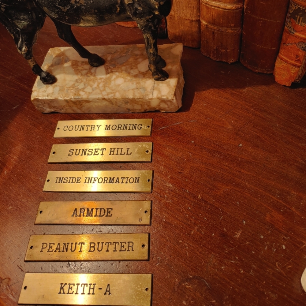 Race Horse Brasses
